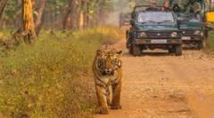 Secure Gir Jeep Safari Booking for Thrilling Journey