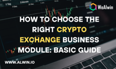 Start Your Crypto Exchange Today - Secure, Scalable & Profitable 