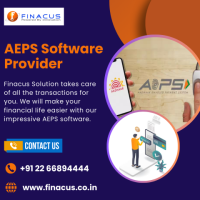 AEPS Software Provider