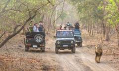 Get  Devalia Safari Park Online Booking for Unique Adventure