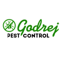 Termite Control Noida