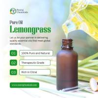 Lemongrass Oil Suppliers in India