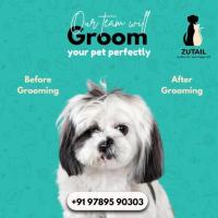 pet grooming home service madurai | Pet grooming packages Madurai