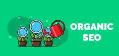 Effective Organic SEO Services for Long-Term Website Growth