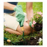 Affordable Landscaping and Garden Maintenance in Wollongong