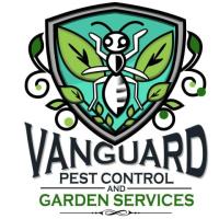 Comprehensive Cockroach Control Melbourne – Vanguard Eco Solutions