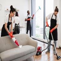 How to Prepare for Spring Cleaning? - Alligator Cleaning