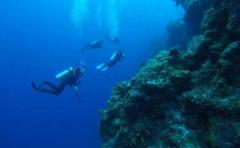 Cozumel Diving Express