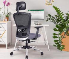 Explore the Best Study Chairs for Students Online at Wooden Street