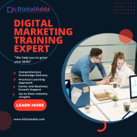 Master Digital Marketing with an Expert-Led Training Program