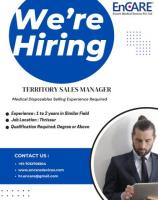 Sales Executive