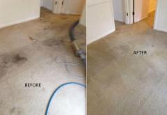 Fast and Efficient Carpet Cleaning in Santa Monica