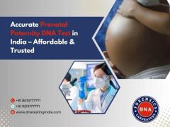 Get Accurate and Reliable Prenatal Paternity DNA Test in India