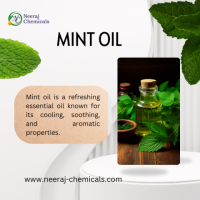 Mint Oil Suppliers in India