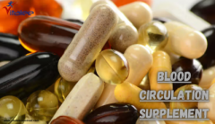 Boost Your Energy with Blood Circulation Supplements