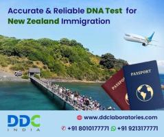 DNA Testing for New Zealand Immigration: A Pathway to Family Reunification