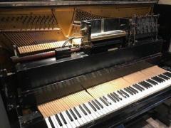 Piano Experts Ottawa