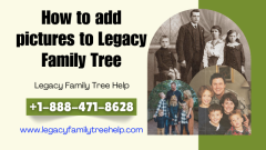  How to add pictures in Legacy Family Tree