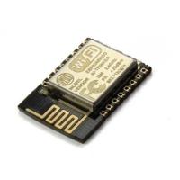 Buy ESP8266 ESP-12E WIFI Module AI Thinker Wireless Module | Campus Component