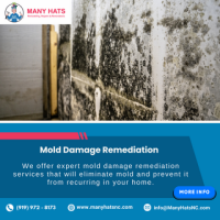 Mold Damage Remediation in Carrboro, Cary, Hillsborough, Morrisville,NC