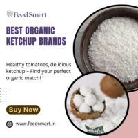 Discover the Best Organic Ketchup Brands for Healthier Meals