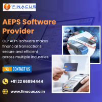 AEPS Software Provider