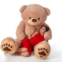 Cute and Lovely Teddy Bear For Girlfriend