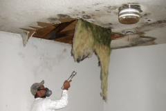 Mold Removal Toronto Cost: Quality Service at Competitive Rates