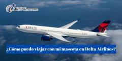 ¿Cómo puedo viajar con mi mascota en Delta Airlines?