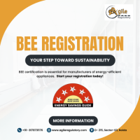 Get BEE Registration with Ease! 