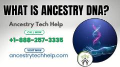 What is Ancestry DNA?