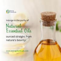 Natural Essential Oils Wholesalers in India