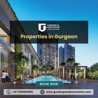 Premium Properties in Gurgaon with Gurdeep & Associates