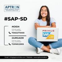 SAP SD Training Institute in Gurgaon