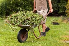 Green Waste Removal Melbourne Service You Can Trust