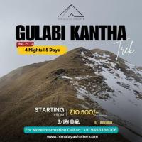 Gulabi Kantha Trek with Himalaya Shelter