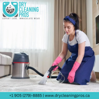 Carpet Cleaning Services Mississauga | Dry Cleaning Pros