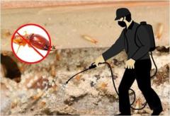 Expert Termite Control in Orange County, CA - Protect Your Home