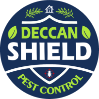 Best Termite Control Services In Hyderabad Near Me | DS