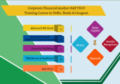 Job Oriented Financial Modelling Course in Delhi, 110080. Best Online Live Financial Analyst 