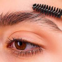 Best service for brows in Fairfield Heights