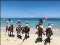 Natadola Beach Horse Ride Tour