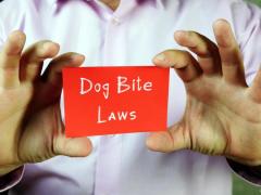 Free Consultation and No-Fee Unless You Win for Dog Bite Cases in Oxnard