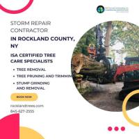 Storm Repair Contractor in Rockland County, NY | D&D Tree Services