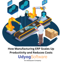 How Manufacturing ERP Scales Up Productivity and Reduces Costs 