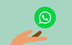 Whatsapp Business API