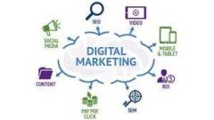 Hire The Best Digital Marketing Agency in Delhi For Business Growth