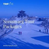 sonmarg tour packages