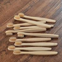 Bamboo Tooth Brushes in Rajasthan