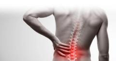 Achieve Lasting Pain Relief with Expert Physical Therapy at Marcel Jacobs PT